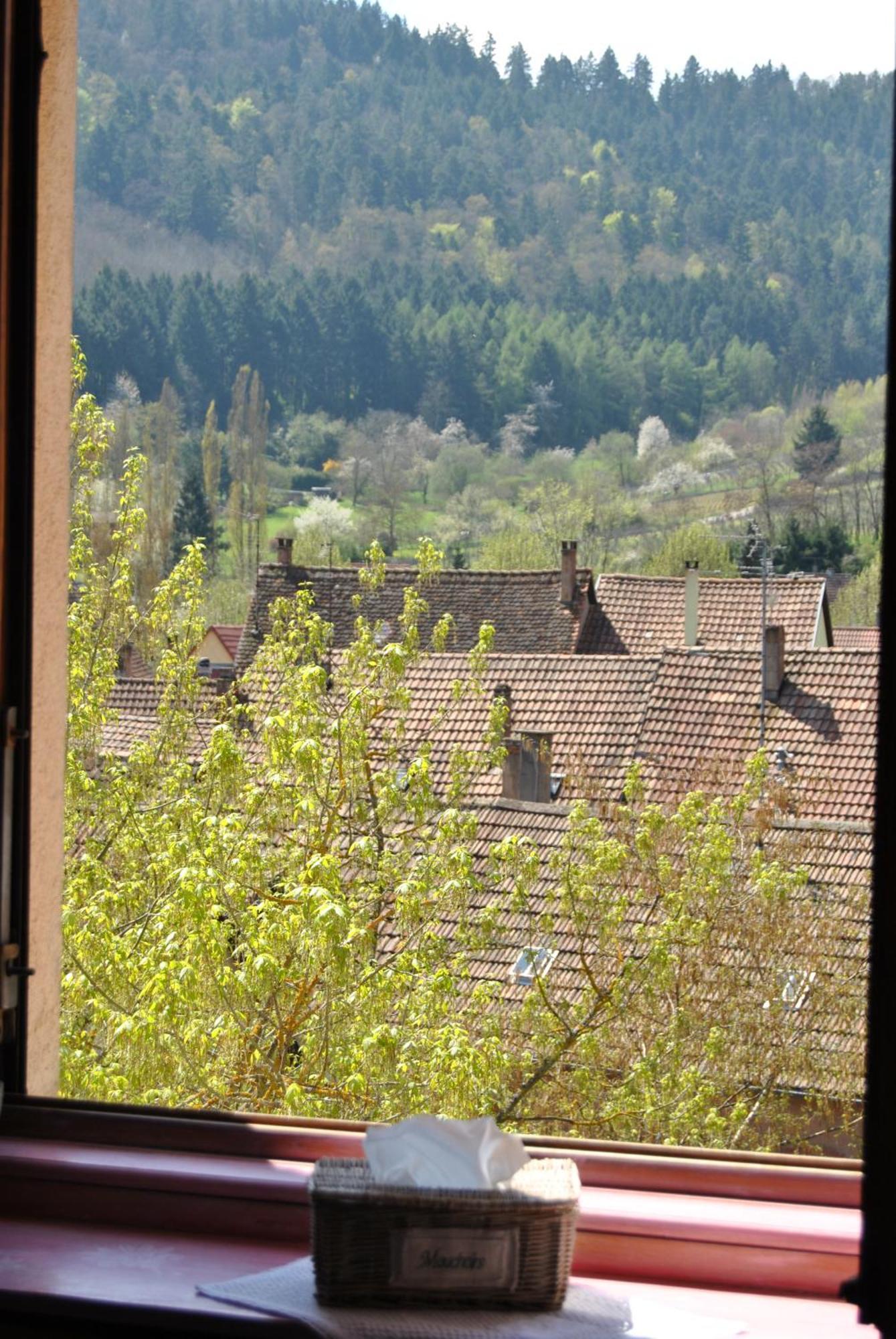 & Les Loges Du Capucin * Kaysersberg-Vignoble